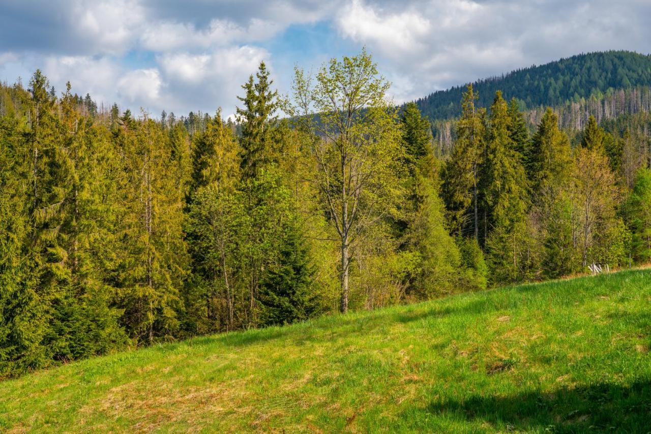 Apartament Lesny Zakopane Bagian luar foto